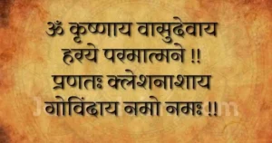 om krishnaya vasudevaya haraye paramatmane mantra
